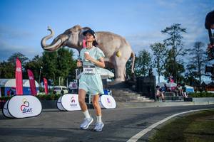 BIB: 
                            <button type="button" onclick="openModal(26542028)" class="btn btn-primary btn-sm float-right btn-popup" data-toggle="modal" data-target=".modal-high-quality">
                        <i class="fas fa-shopping-cart"></i> Add to Cart
                    </button>
                                            <button type="button" onclick="isThisMe(26542028, true)" class="btn btn-success btn-sm float-right btn-popup btn-isme hidden" data-toggle="tooltip" data-placement="bottom" title="นี่คือรูปของคุณใช่ไหม คลิกที่นี่เพื่อเอาเข้าอัลบั้ม">
                        <i class="fas fa-plus"></i> Add to album
                    </button>
                    <button type="button" onclick="isThisMe(26542028, false)" class="btn btn-warning btn-sm float-right btn-popup btn-isnotme hidden">
                        <i class="fas fa-ban"></i> Remove from album
                    </button>